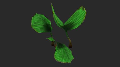 Dragon Claw-Plant preview image